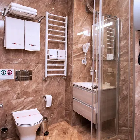 Family Business Club Hotel 3*